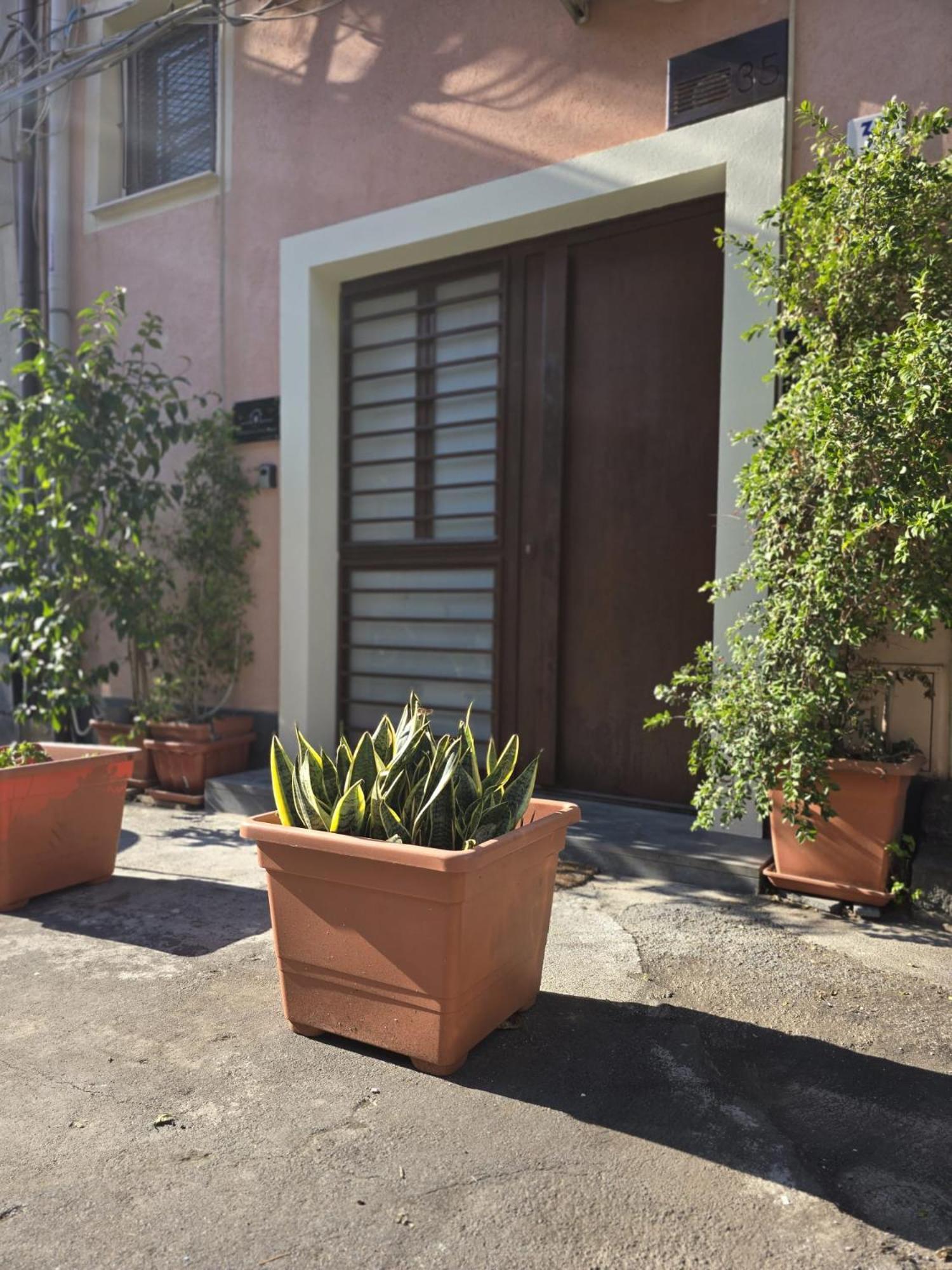 Villa Benedettini Little House à Catane Extérieur photo